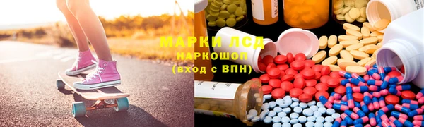 шишки Абаза