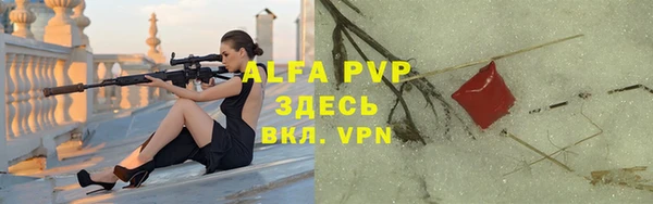 шишки Абаза