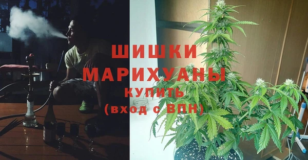 шишки Абаза