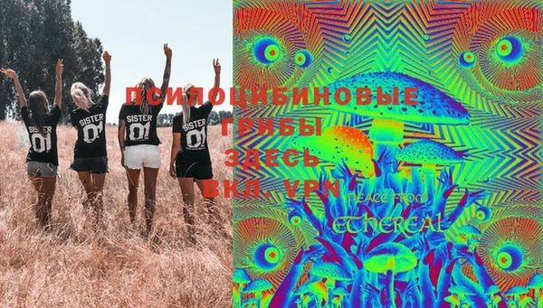 шишки Абаза