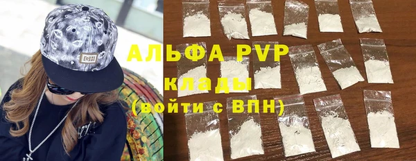 шишки Абаза