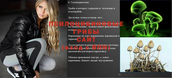 шишки Абаза