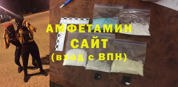 шишки Абаза